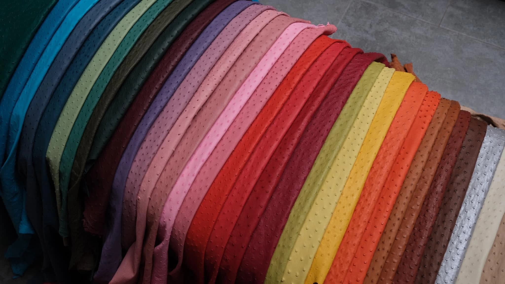 Đà điểu